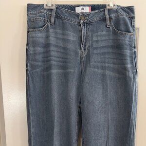 CAbi Ashbury Jean 10 Long